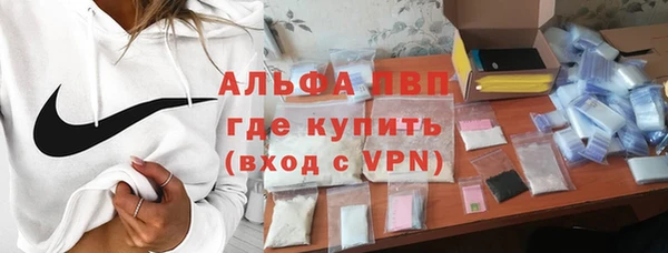 мяу мяу мука Ессентукская
