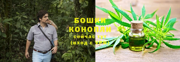 гидропоника Нязепетровск